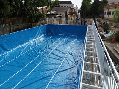 Hồ bơi di động